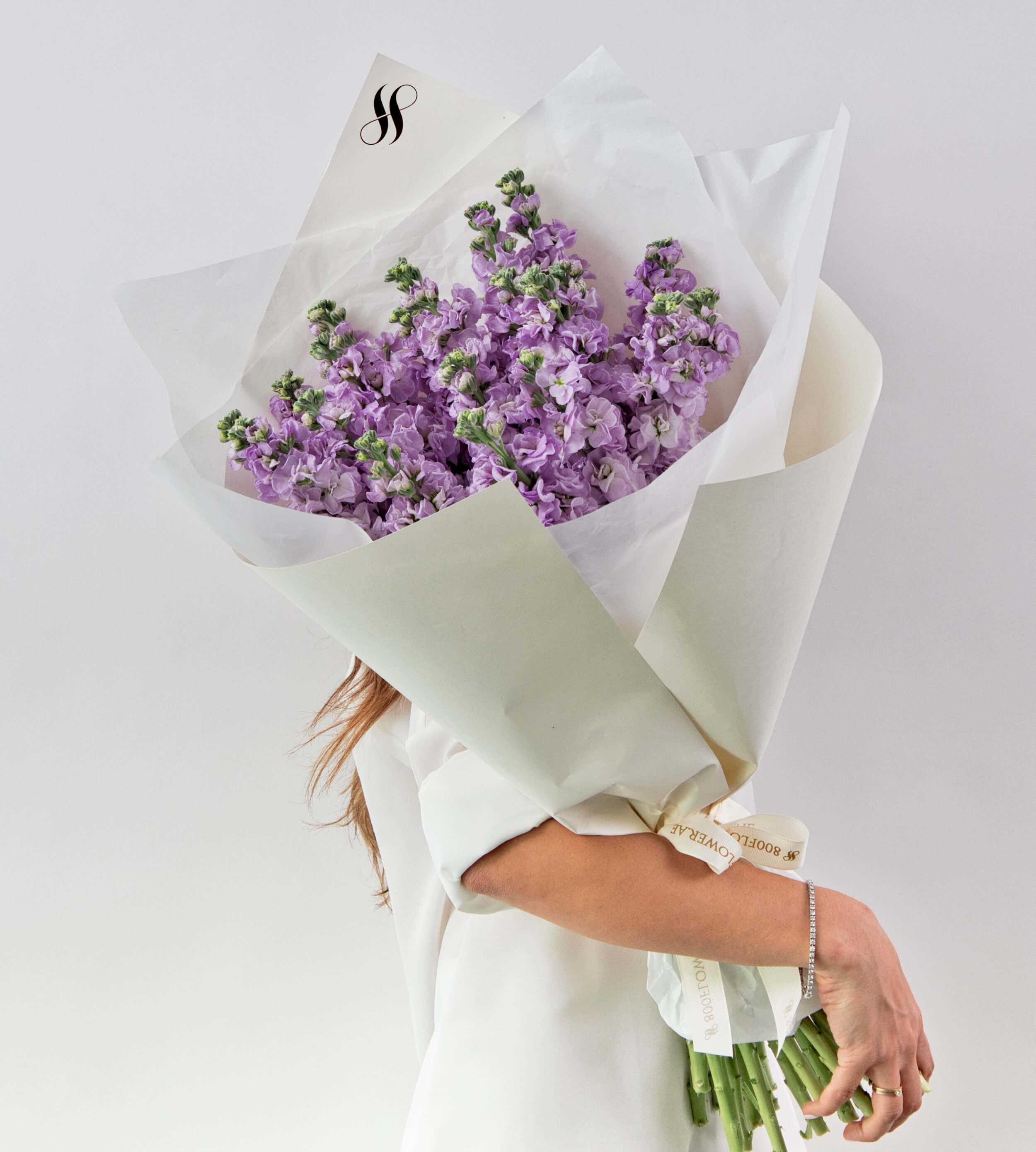 Delicate lavender flowers cascading softly with gentle fragrance.