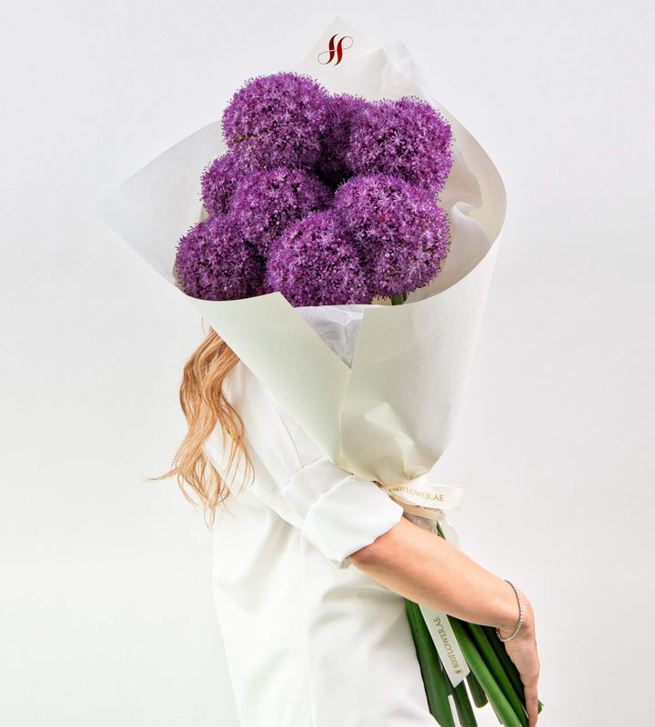 Bouquet of violet allium flowers with sculptural, modern design.