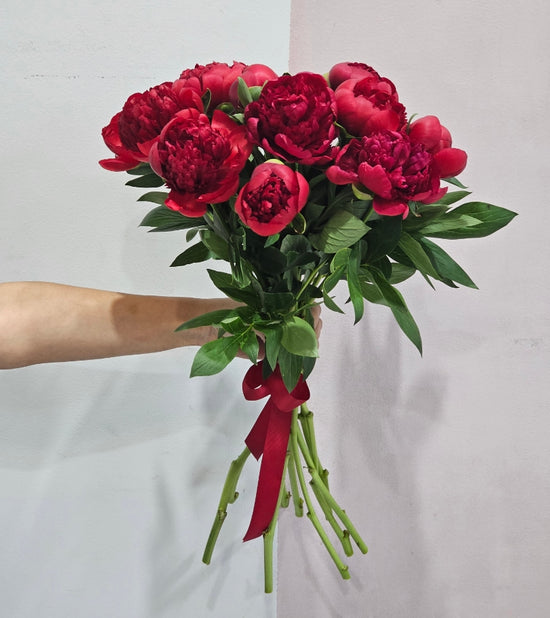 10 Red Charm Peonies
