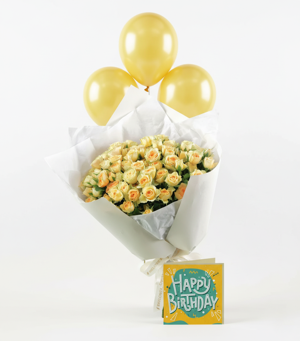 Soleil Birthday Bundle