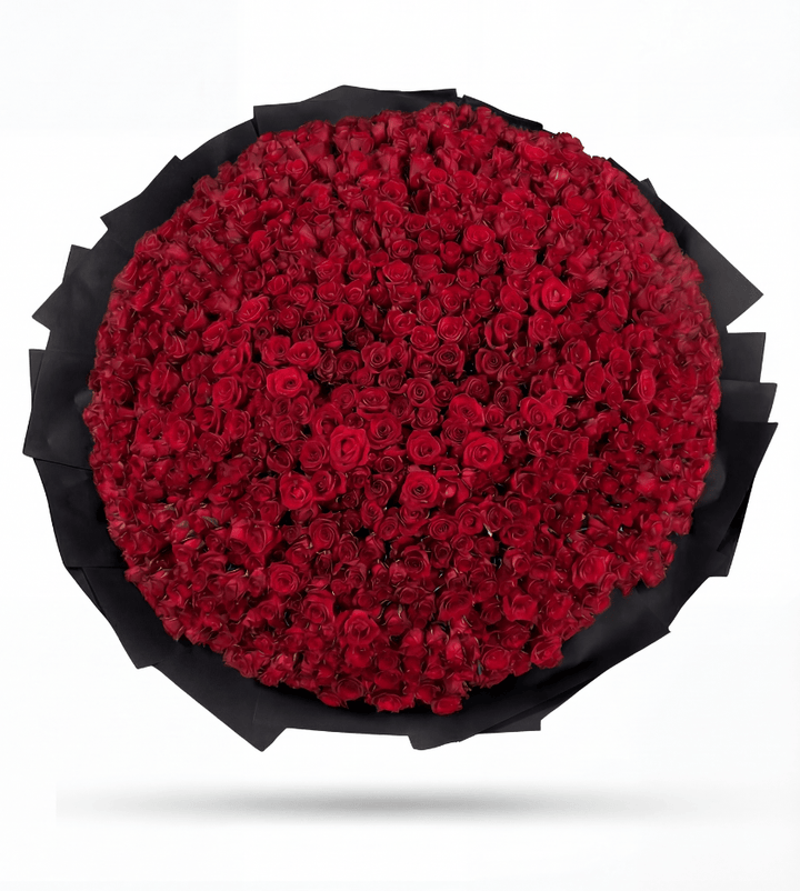 1000 Red Roses