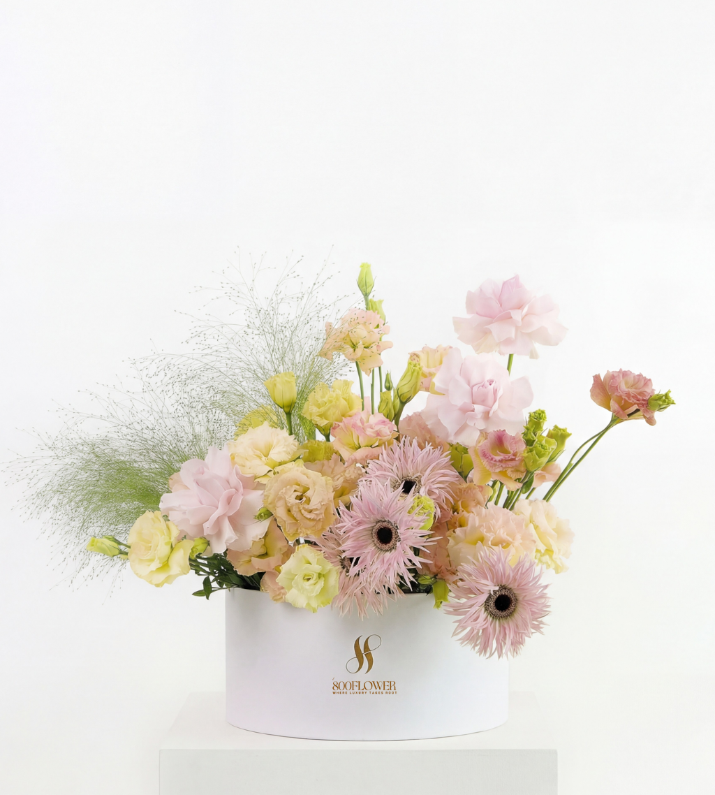 Мягкое сияние