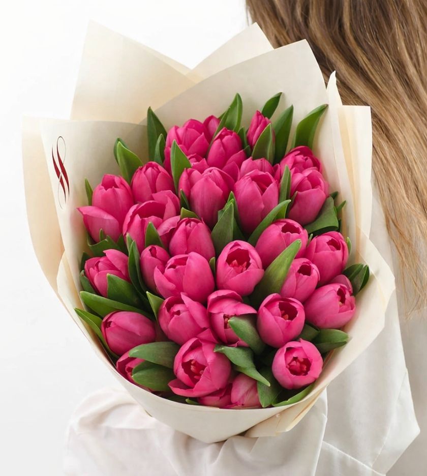 20 Hot Pink Tulips