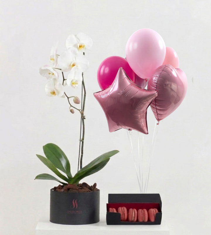 White Orchid Macaron Bundle