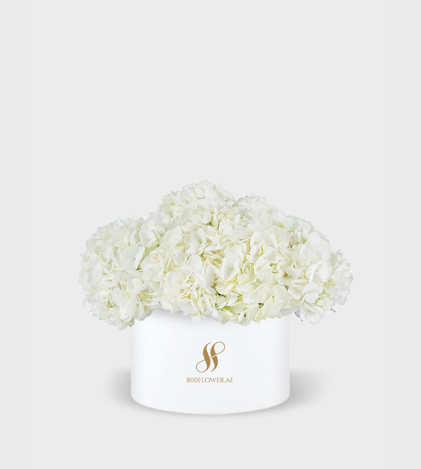 White Hydrangea Medium Round Box