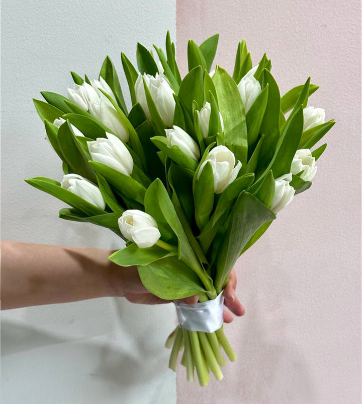 20 White Tulips
