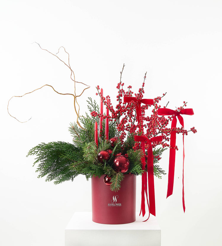 Christmas Collection