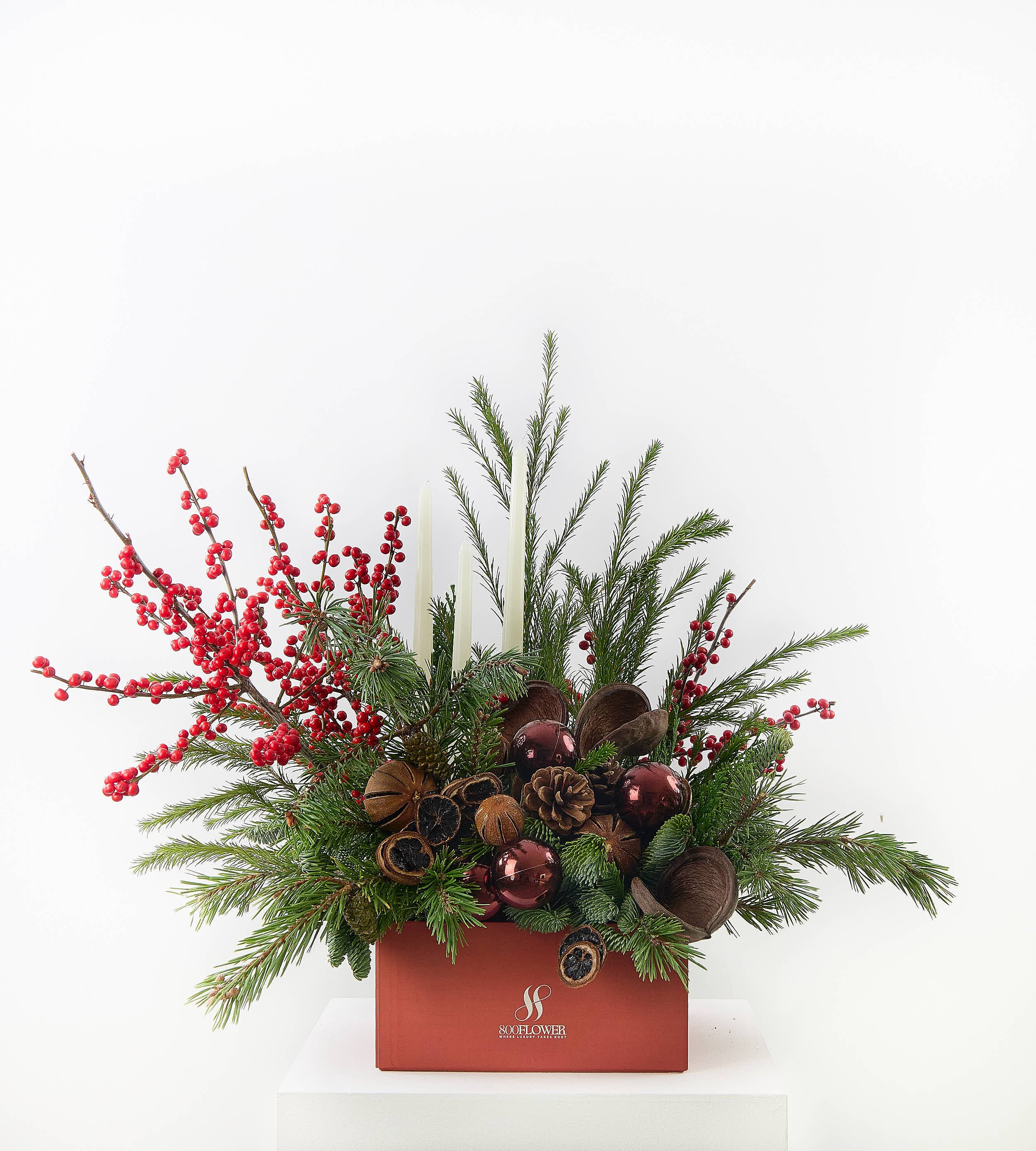 Christmas Collection