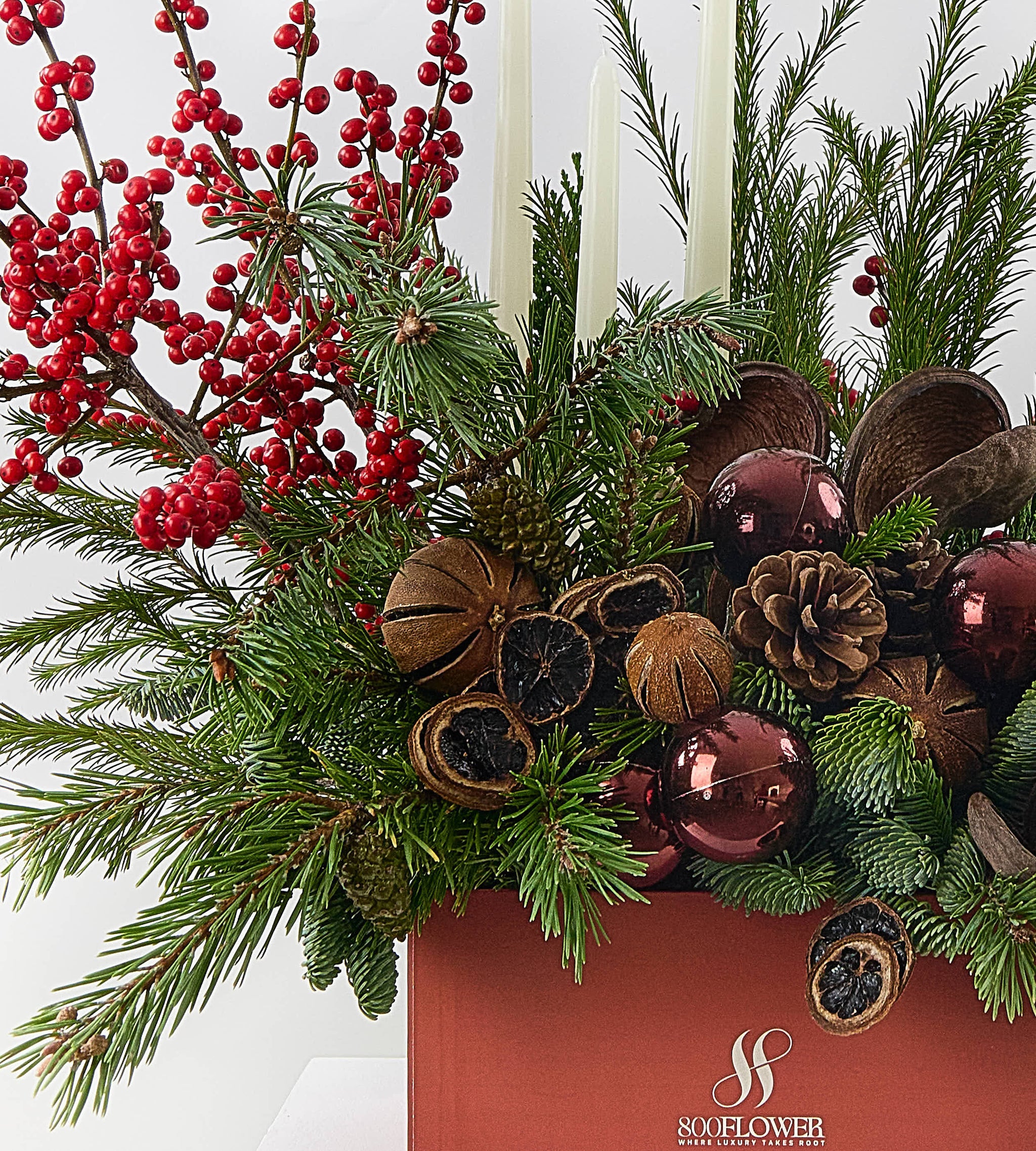 The Magic of Christmas