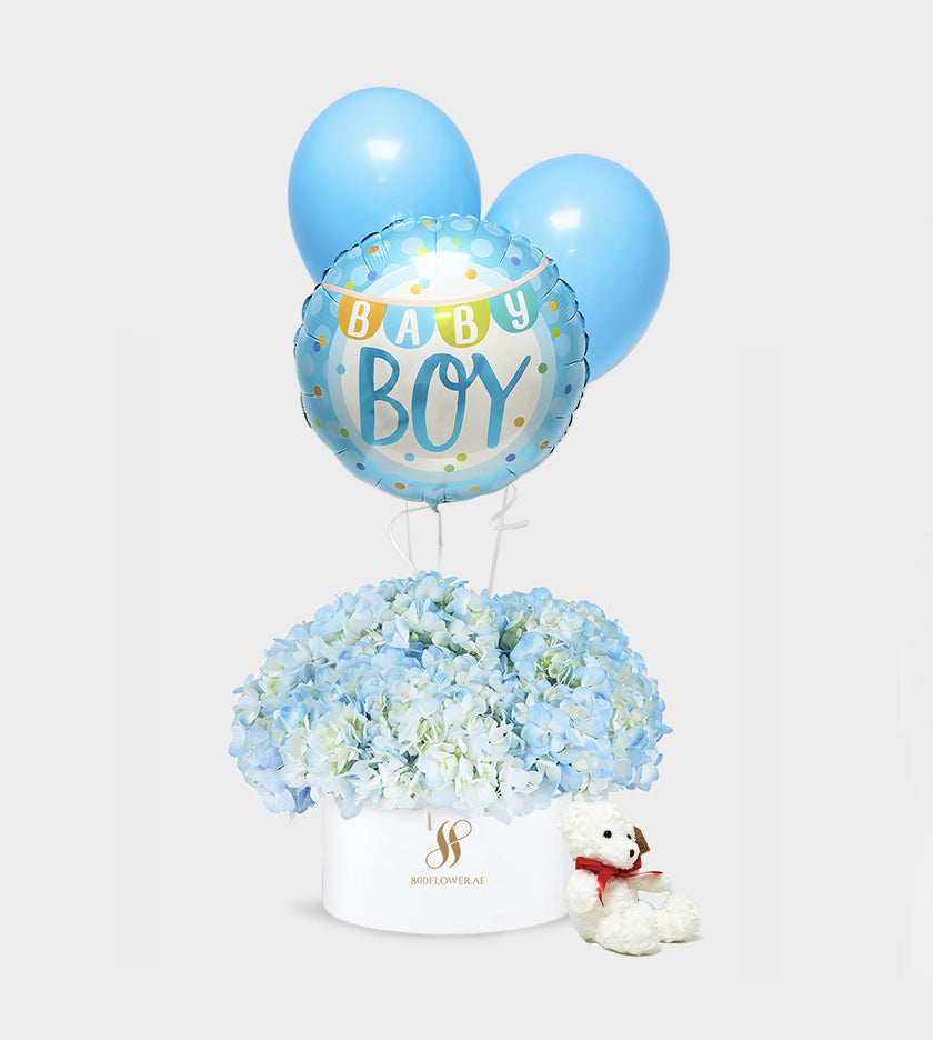 Baby Newborn Boy Bundle