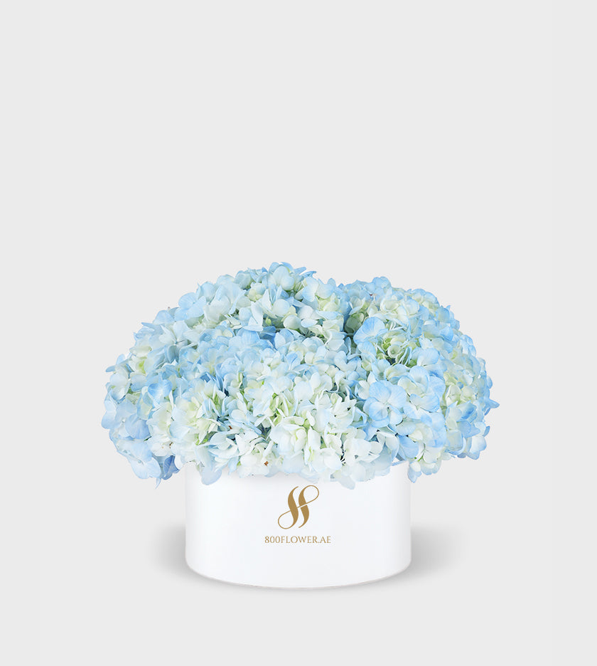Blue Hydrangea Small Round Box featuring 5-6 vibrant blue hydrangeas arranged to evoke calm, beauty, and tranquility.