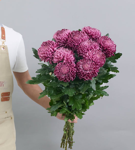 10 Stem Chrysanthemum Bigoudi