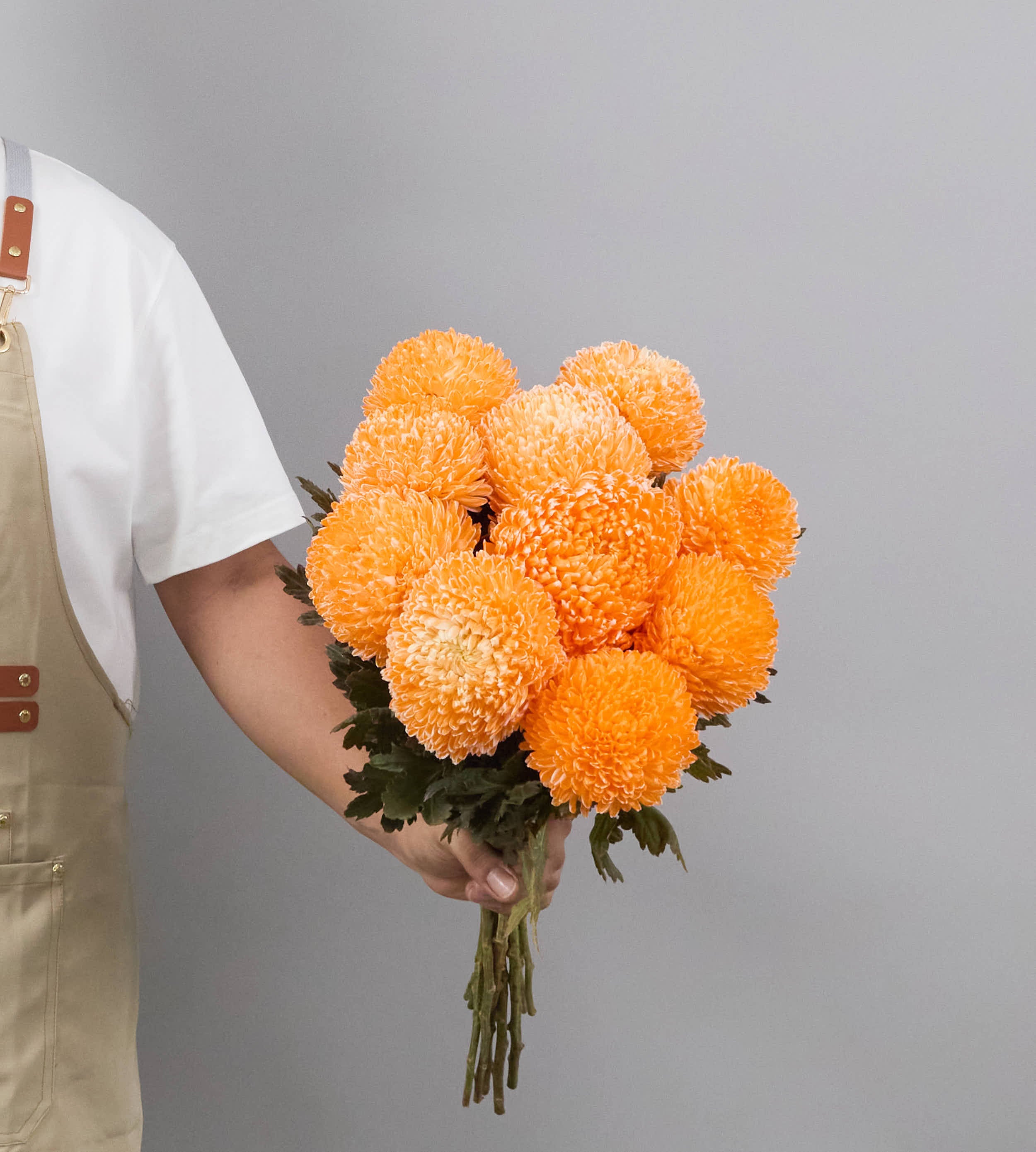 10 stem Chrysanthemum Peony Orange