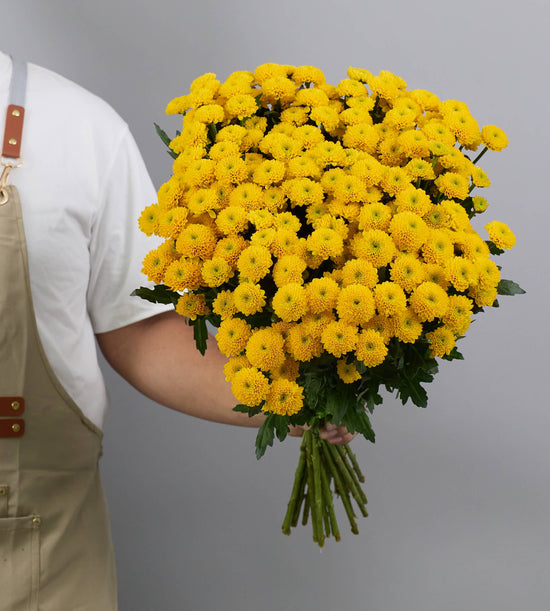 25 Stem Chrysanthemum Aurinko Yellow