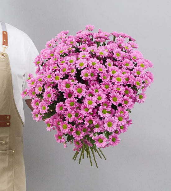 25 Stem Chrysanthemum Krissi