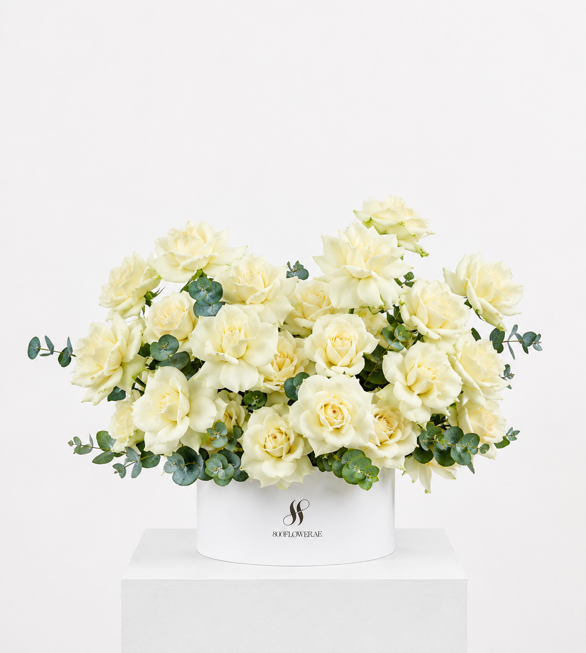 La Rose Blanche