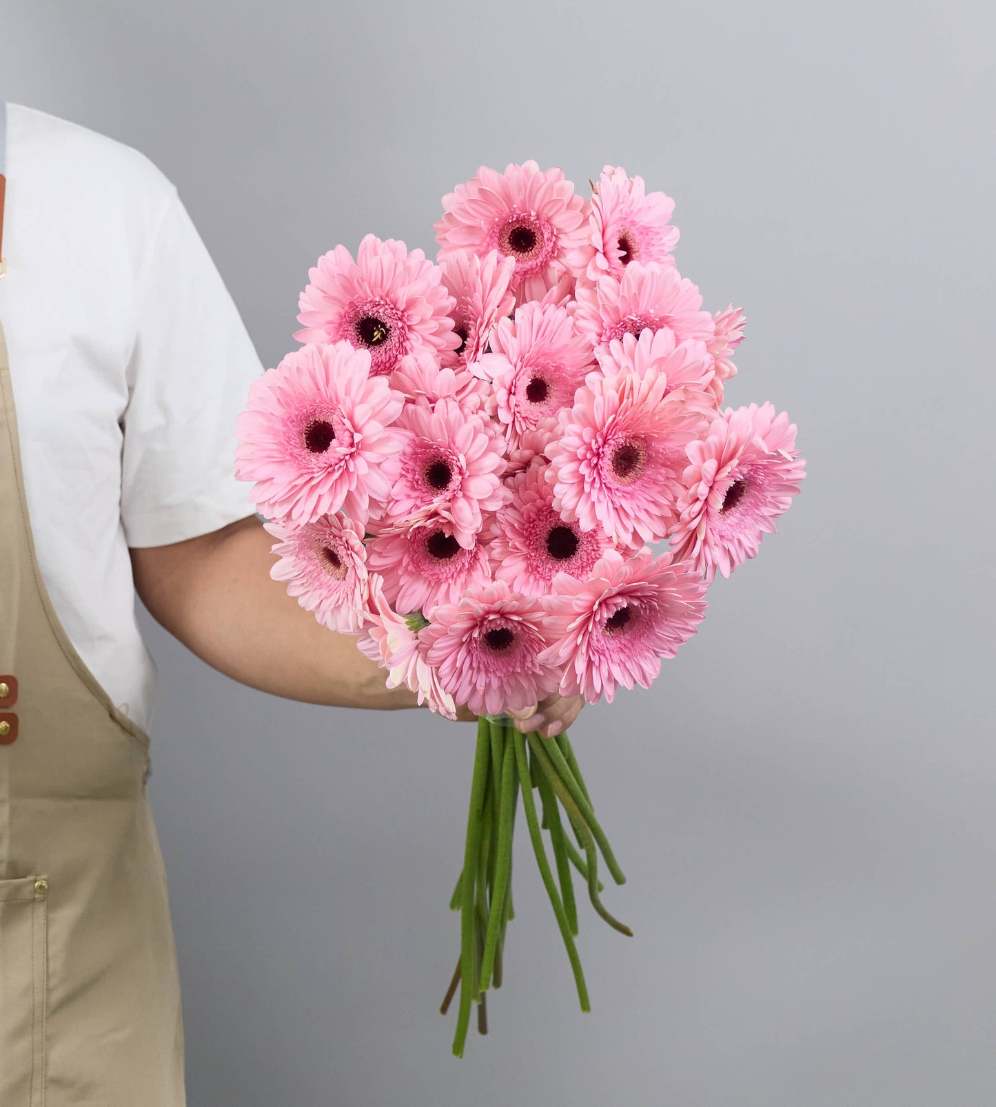 15 Stem Gerbera Standard Pre Semmy