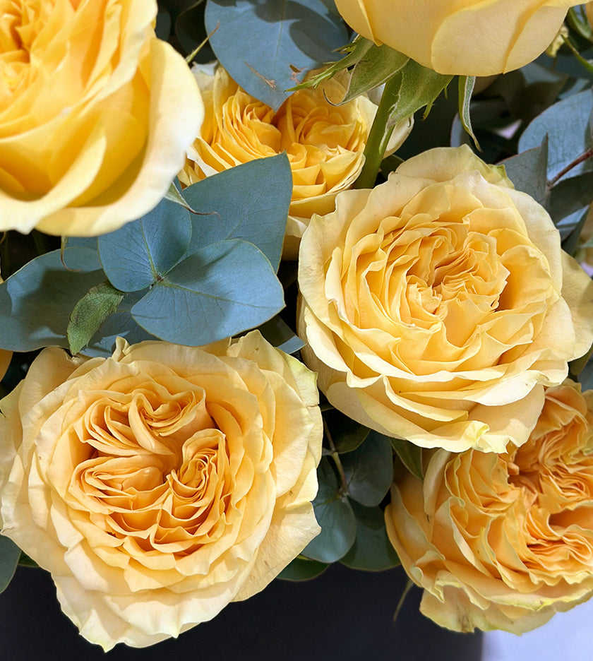 Giallo Classico Box Arrangement