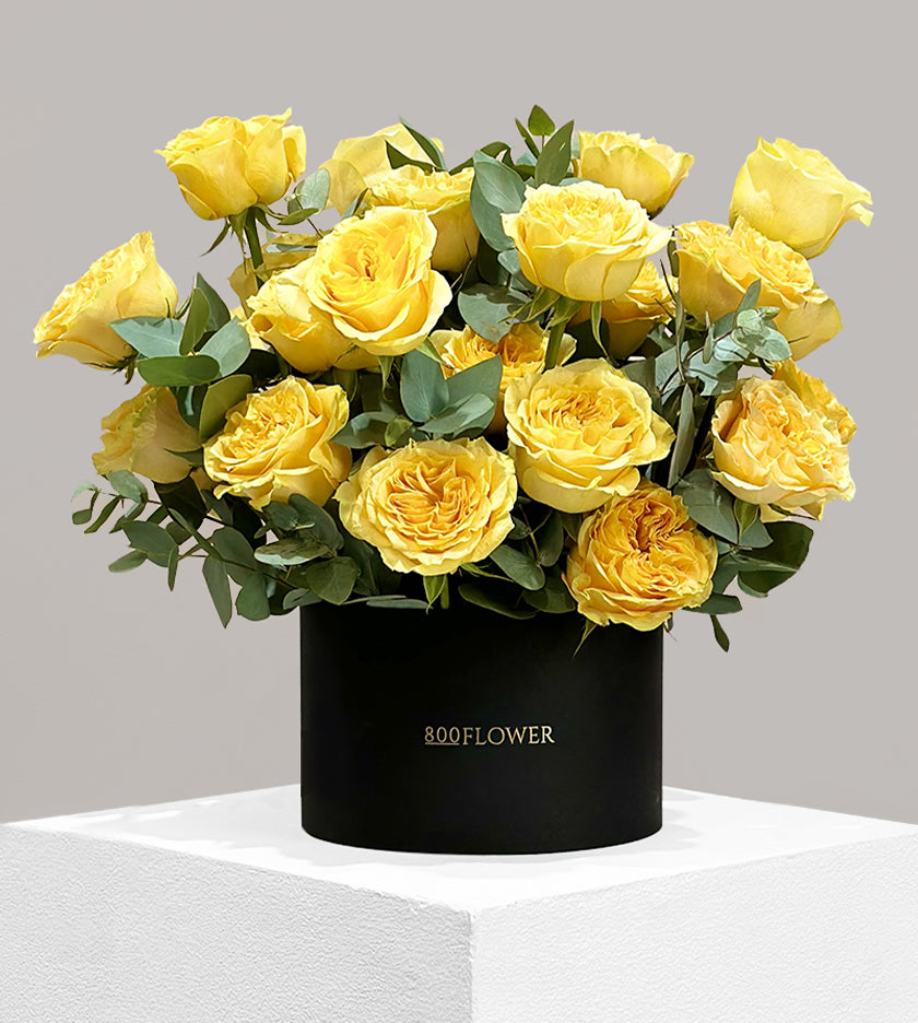 Giallo Classico Box Arrangement
