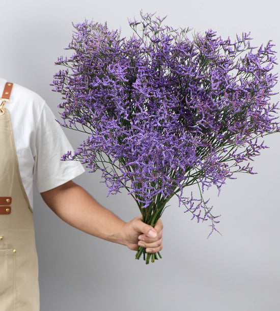 25 Stem Limonium Safora Dark Blue