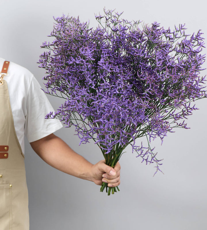25 Stem Limonium Safora Dark Blue