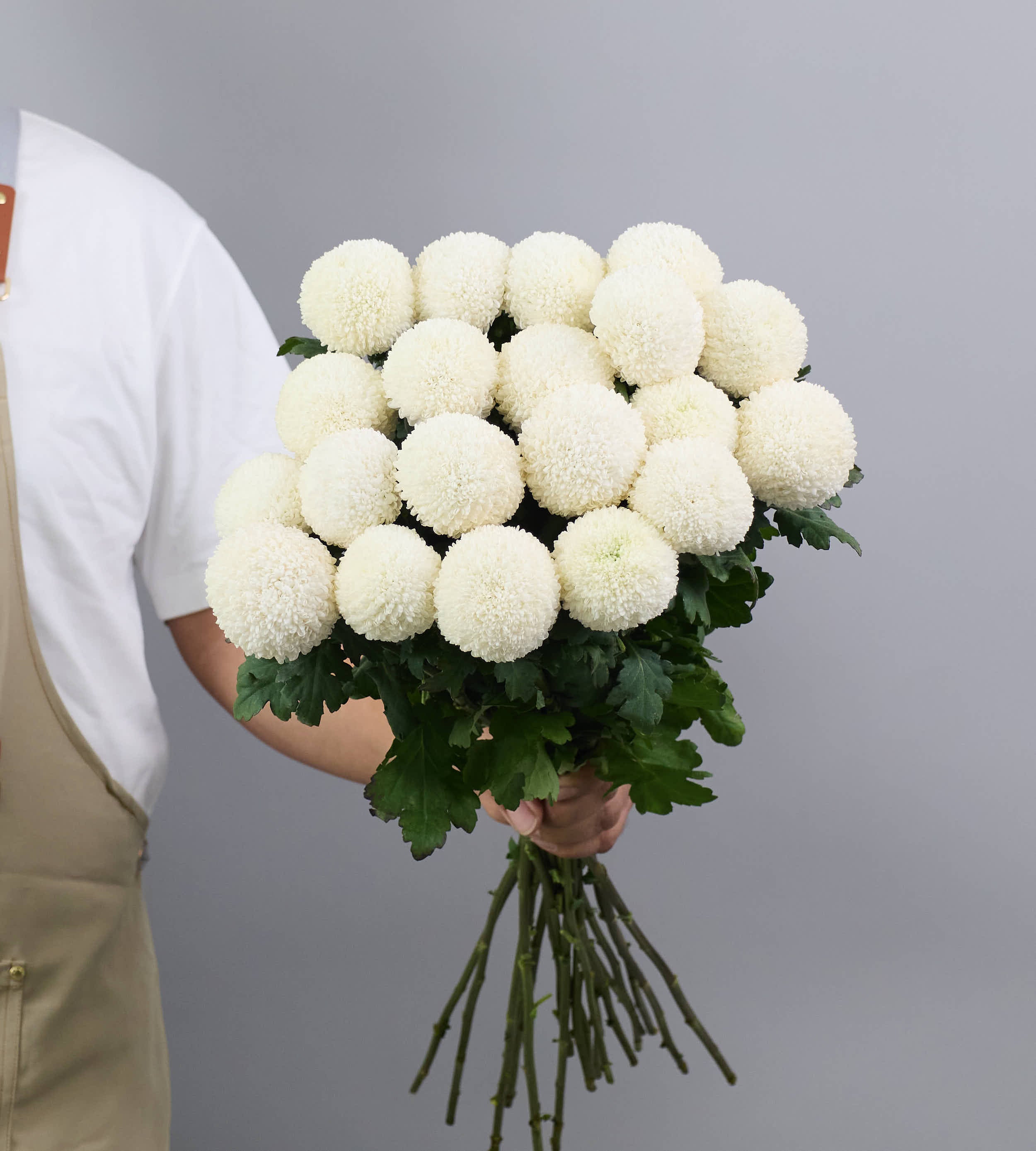 20 Stem Chrysanthemum Ping Pong White