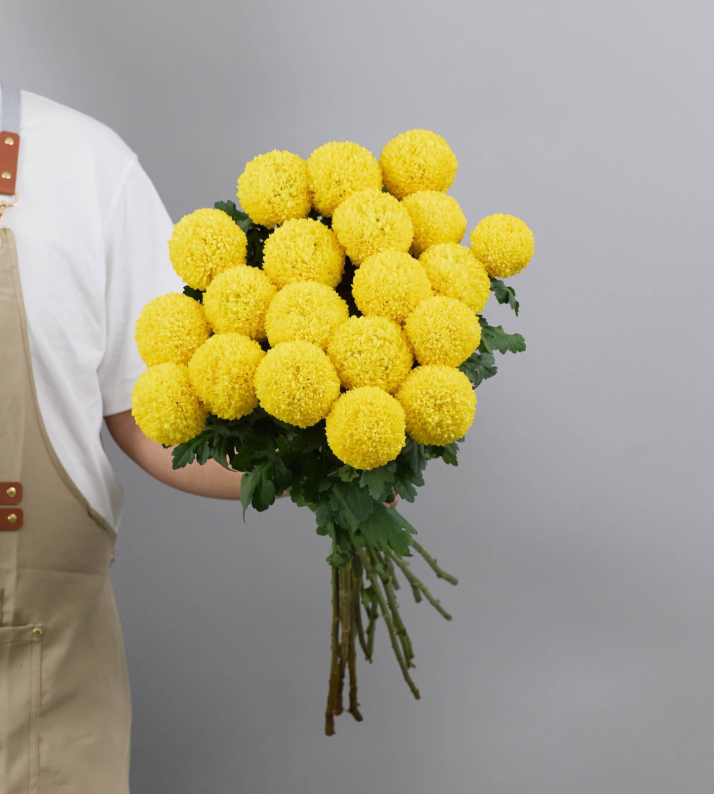 20 Stem Chrysanthemum Ping Pong Yellow