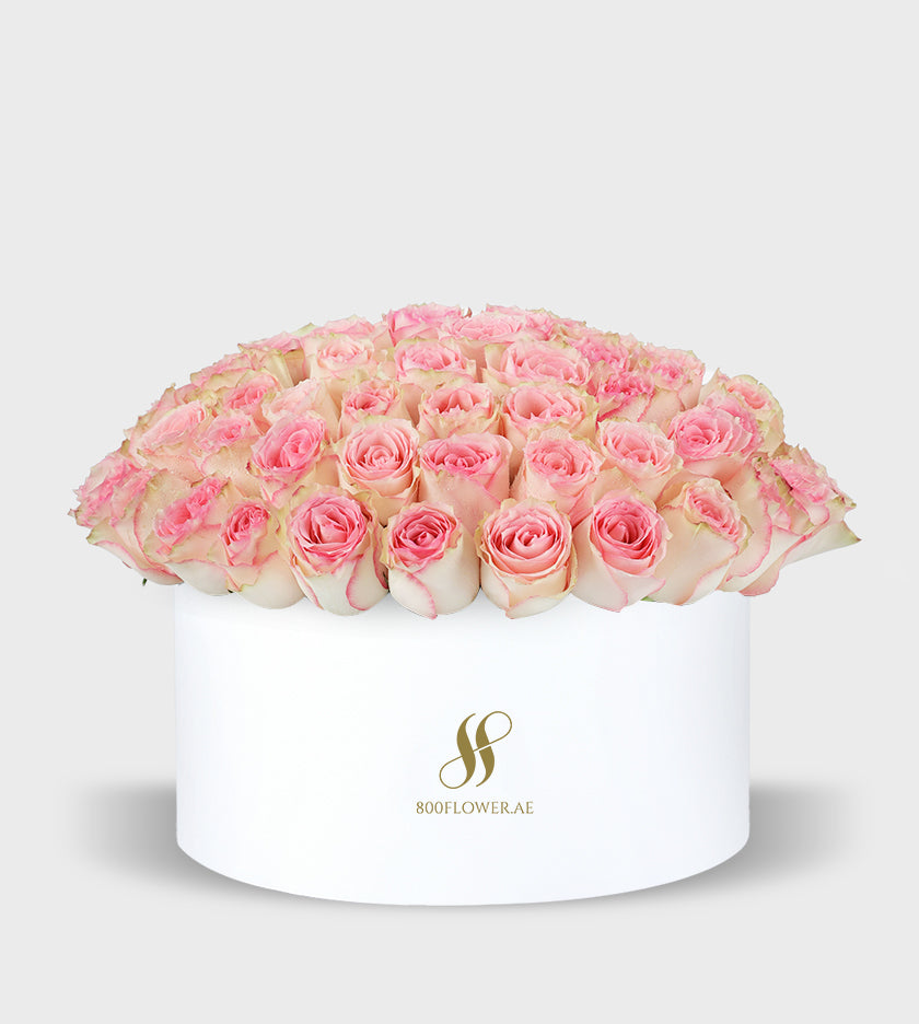 Pink Rose Large Round Box