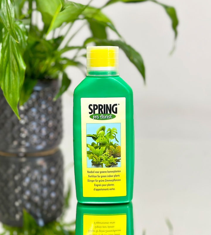 Spring liquid fertilizer for indoor and outdoor plants – promotes healthy green growth, easy to mix with water