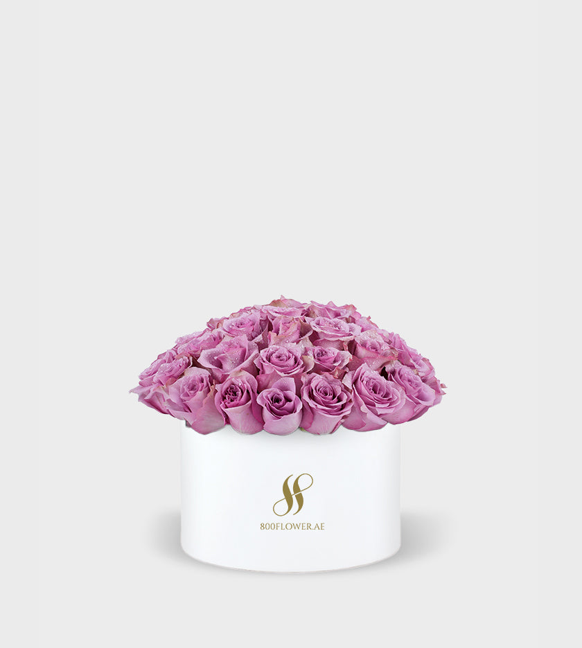 Purple Rose Medium Round Box