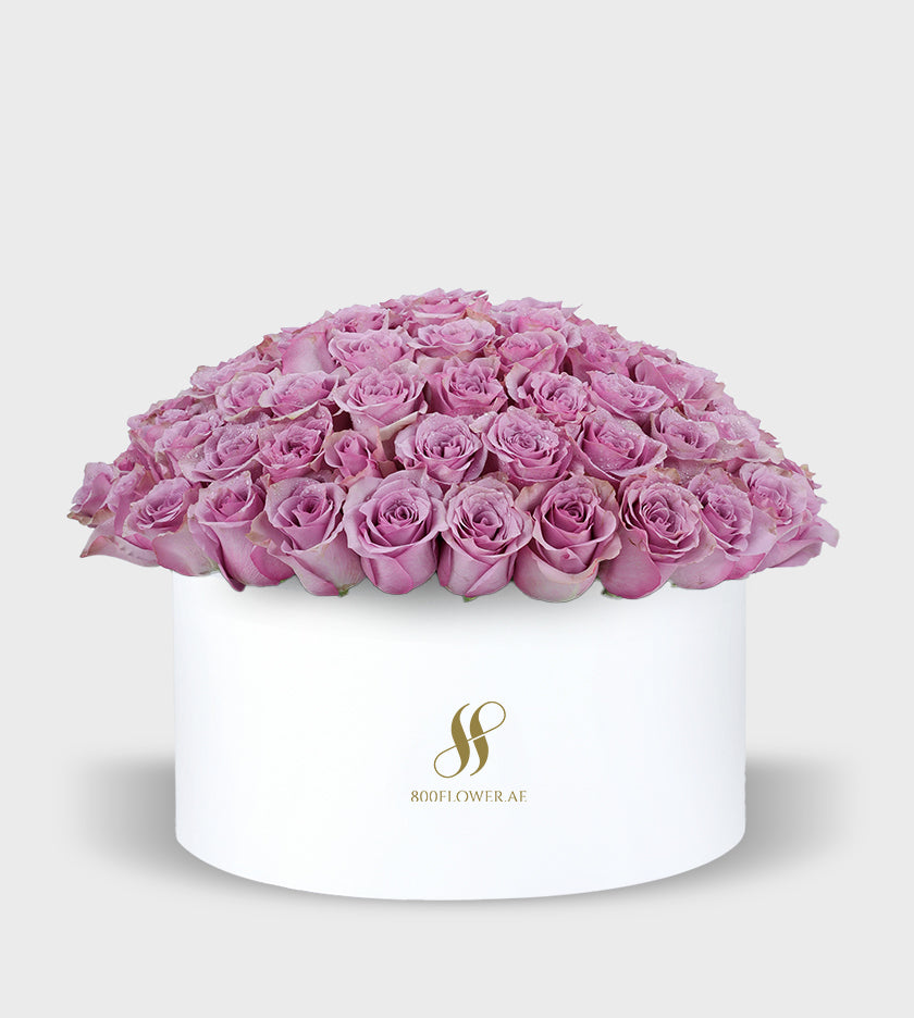 Purple Rose Large Round Box