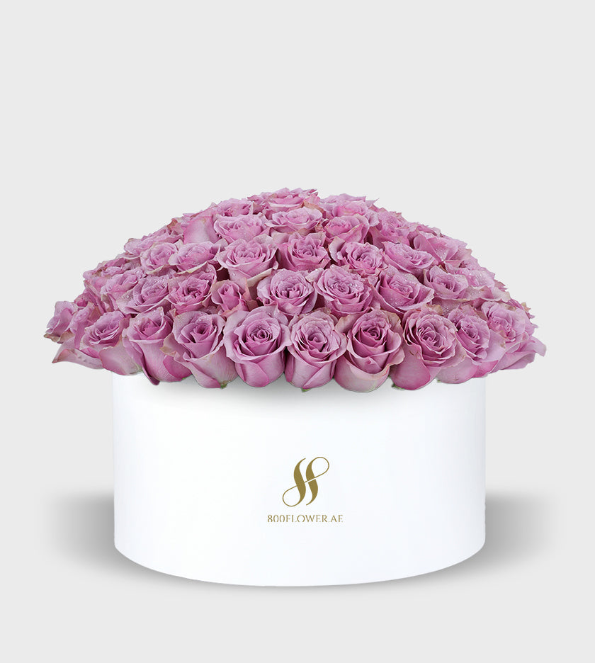 Unveil the enchanting mystery of our Purple Roses in a petite round box. With 70 exquisite blooms, it's a subtle yet alluring expression of admiration and fascination. Gift this arrangement to someone special and watch their heart melt.