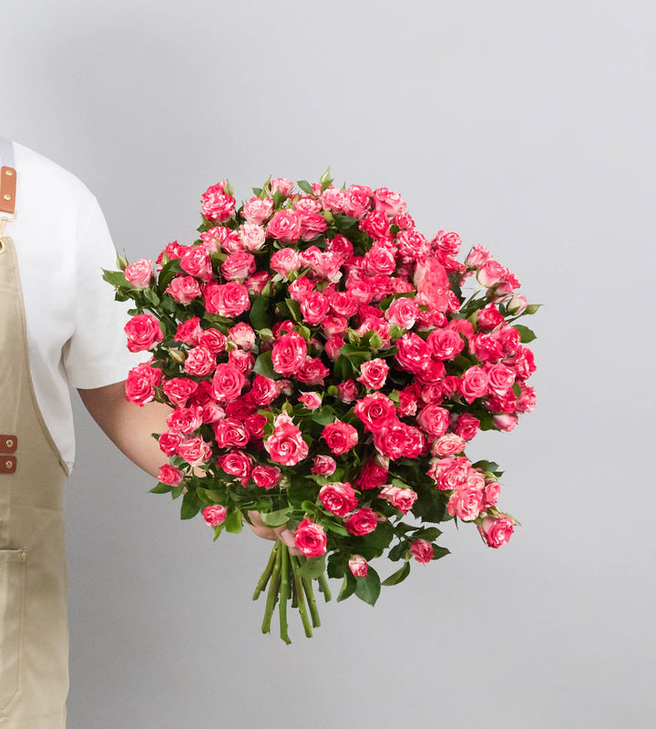 20 Stem Spray Rose Fireworks