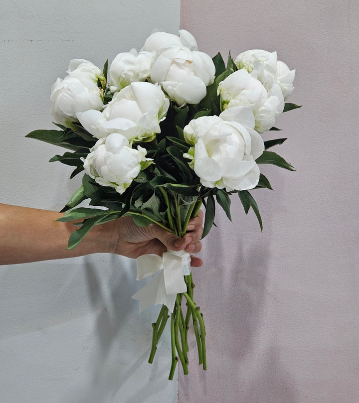 10 White Peonies