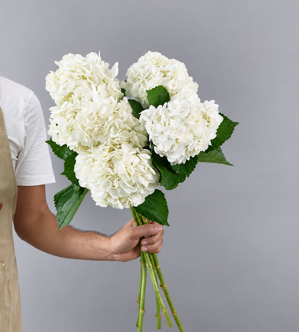 5 Stem Hydrangea White