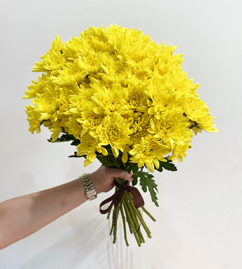 20 Stems of Yellow Chrysanthemums