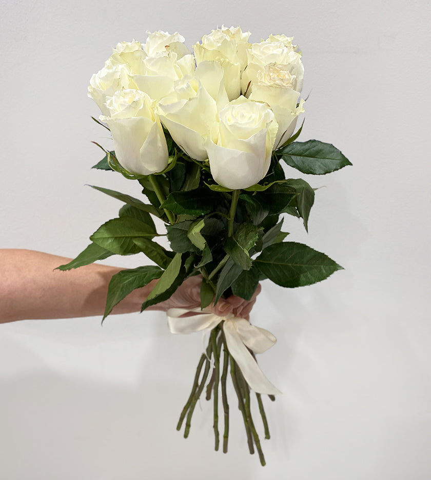 12 White Albatross Roses