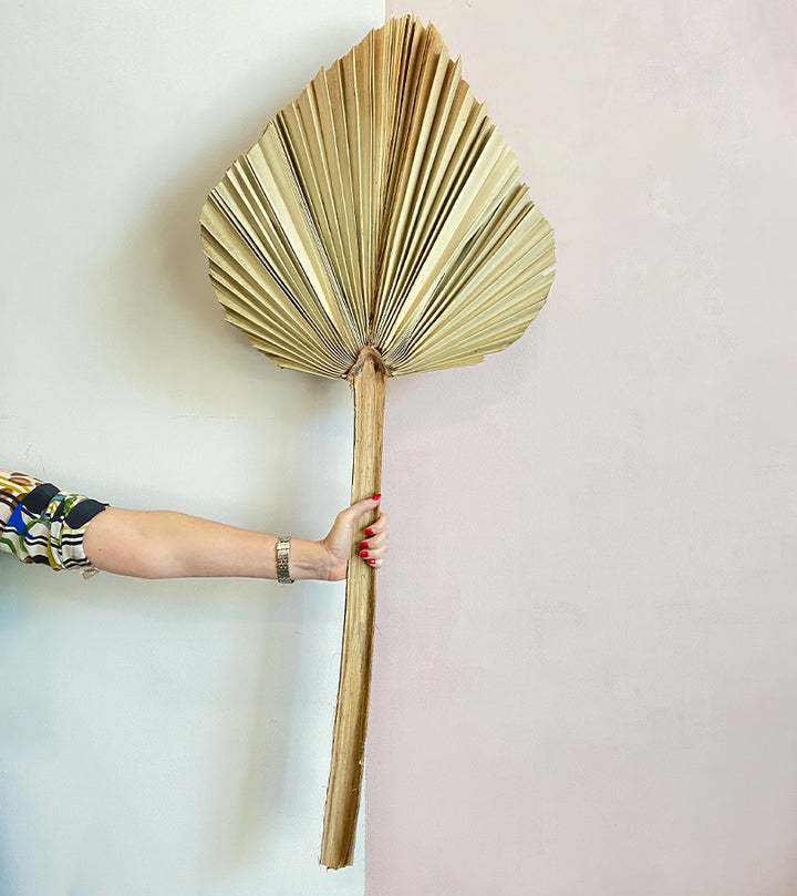 1 Dry Palm Leaves 110cm