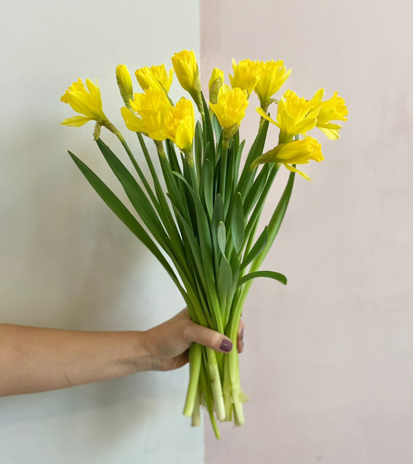15 Daffodils