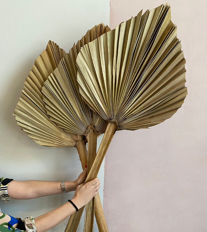 3 Dry Palm Leaves 110cm
