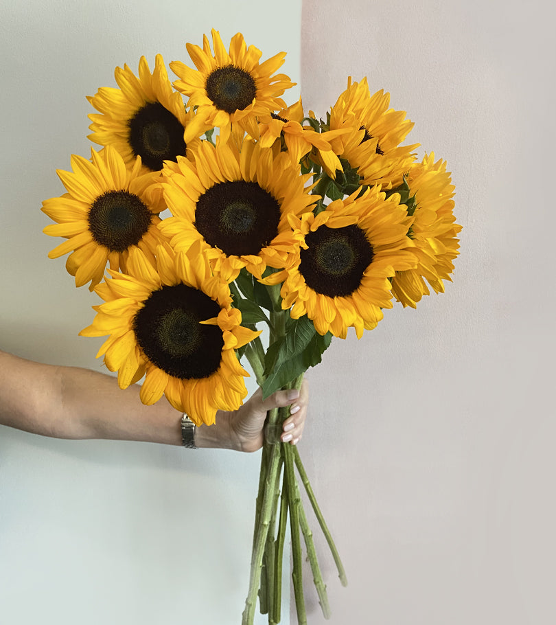 10 Sunflowers