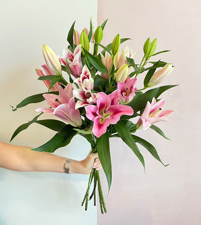 5 Pink Lilies
