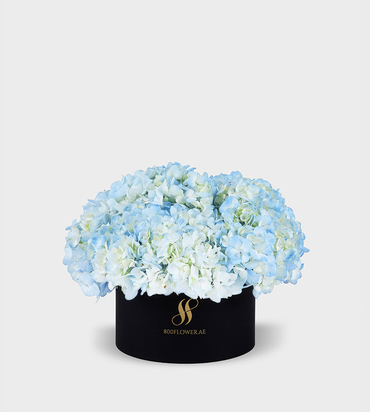 Blue Hydrangea Small Round Box featuring 5-6 vibrant blue hydrangeas arranged to evoke calm, beauty, and tranquility.