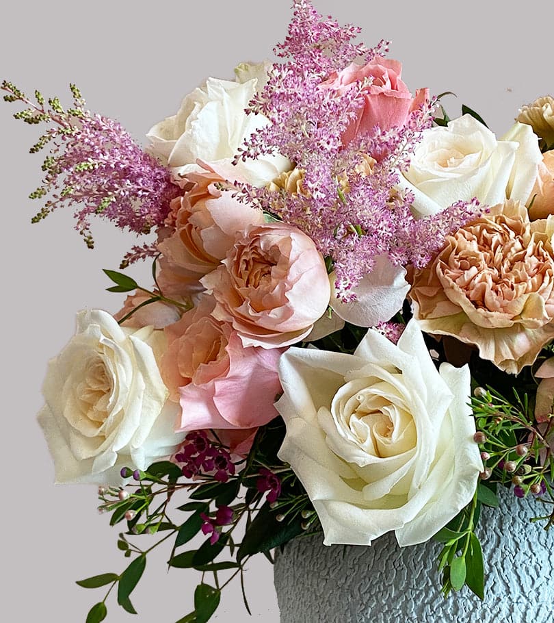 Exquisite Blooms