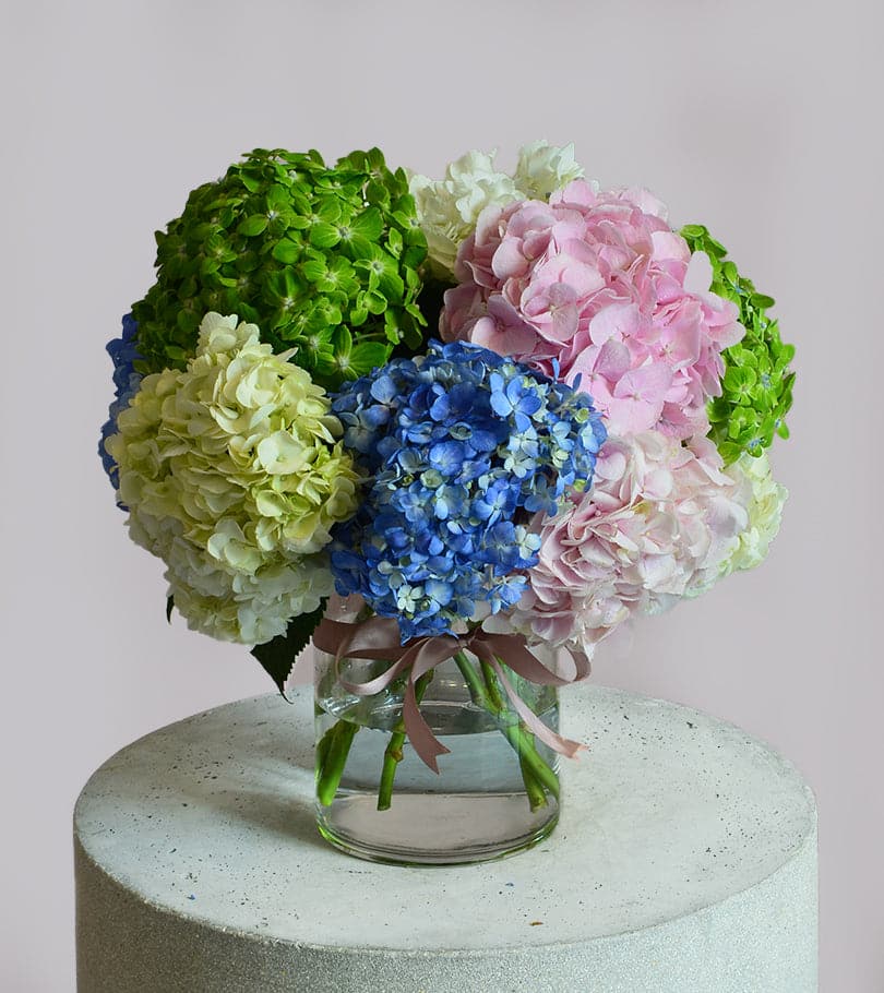 Hydrangea Delight Vase Arrangement