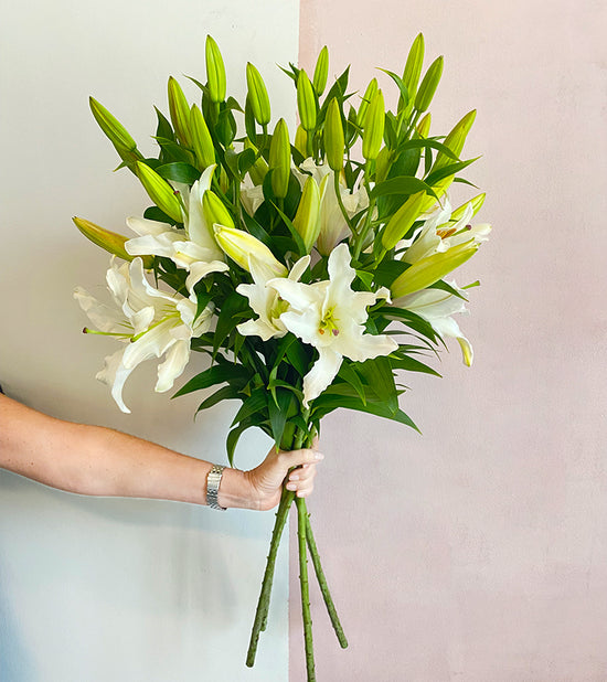 5 White Lilies