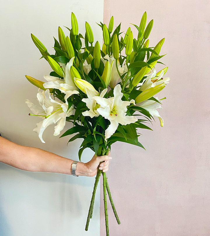5 White Lilies
