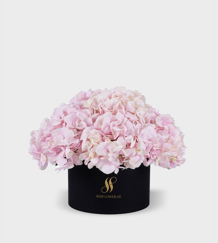 Pink Hydrangea Small Round Box with 5-6 stunning pink hydrangeas, arranged to express love, romance, and joyful elegance.