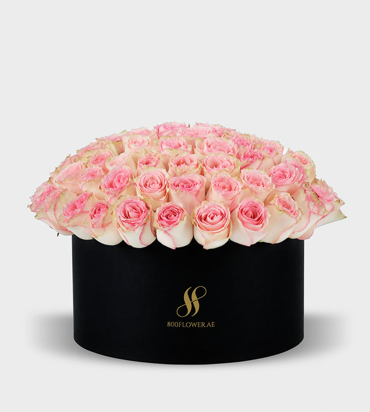 Pink Roses Small Round Box with 70 romantic pink roses, beautifully arranged to symbolize affection, admiration, and heartfelt emotions.