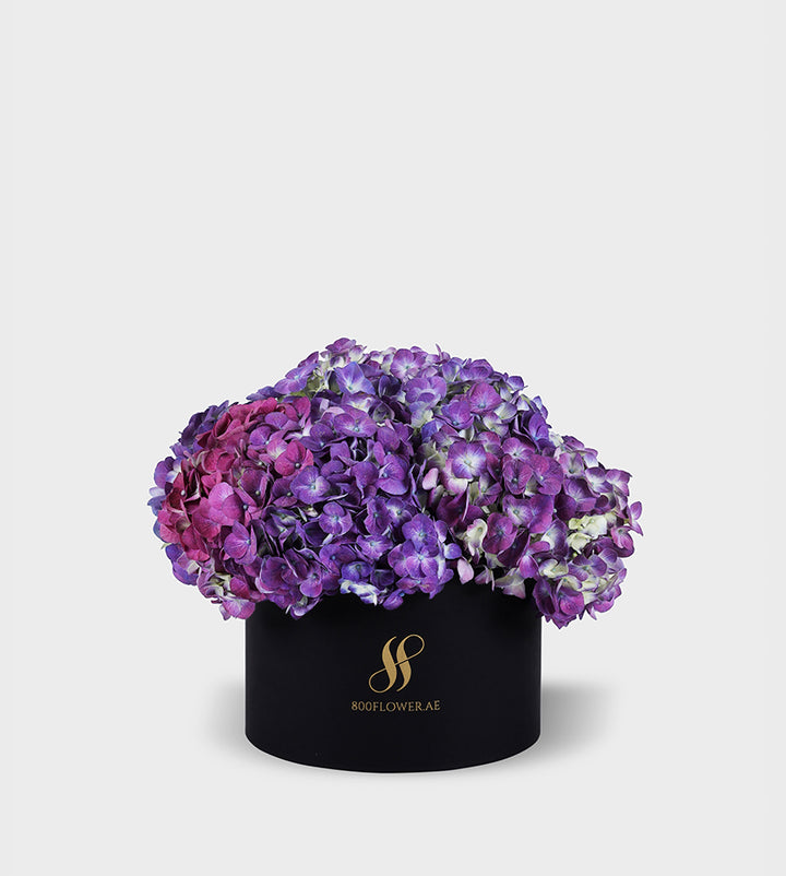 Purple Hydrangea Small Round Box with 5-6 lush purple hydrangeas, exuding charm, sophistication, and captivating beauty.